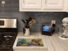 NEW Burrowing Owl Glass Cutting Board Decorative Tempered Glass Kitchen Cutting and Serving Board Large Size Chopping Board