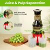 Cold Press Juicer Machine 300W Electric Slow Masticating Juicer for Whole Vegetable and Fruit with Reverse Function 2 Containers Cleaning Brush Clear